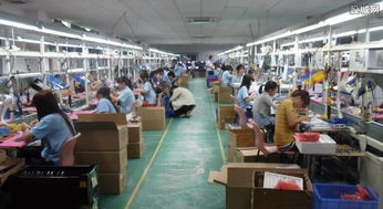 農村創業新路徑 農副產品開發與技術服務的雙輪驅動